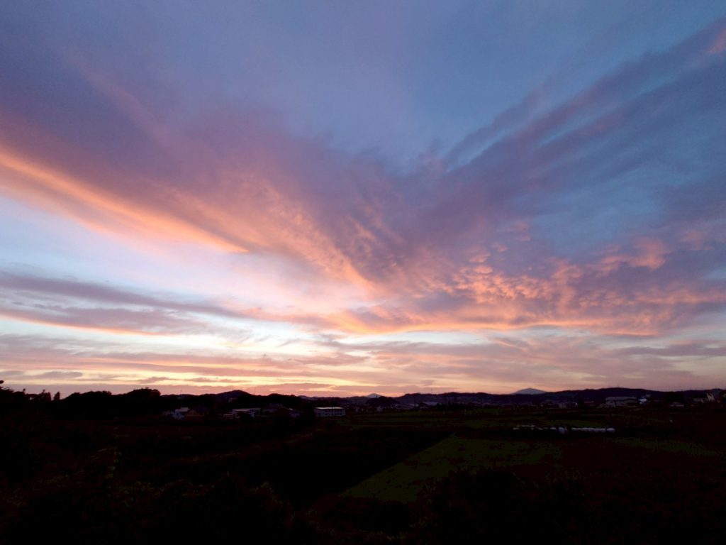 現場から見た朝焼けの写真